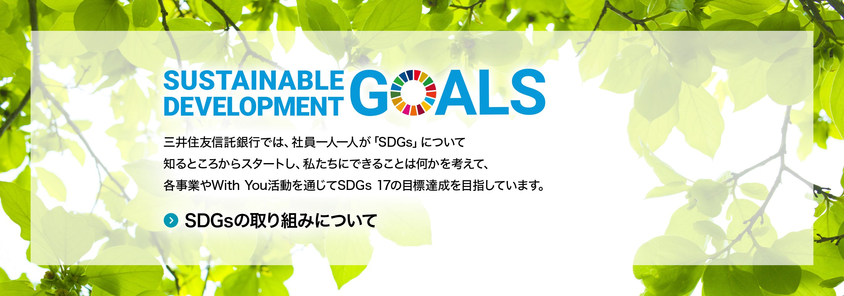 SUSTAINABLE DEVELOPMENT GOALS 三井住友信託銀行では、社員一人一人が「SDGs」について知るところからスタートし、私たちにできることは何かを考えて、各事業やWith You活動を通じてSDGs 17の目標達成を目指しています。SDGsの取り組みについて