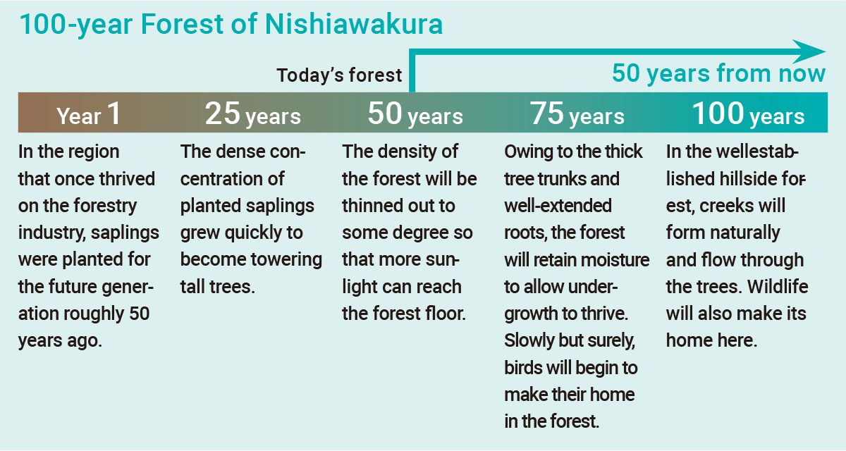 100-year Forest of Nishiawakura