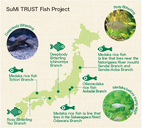 SuMi TRUST Fish Project