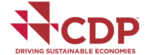 CDP DRIVING SUSTAINABLE ECONOMIES